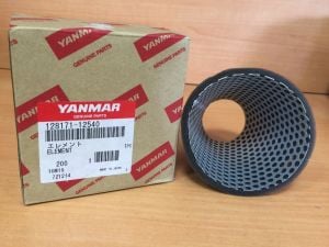 1GM10 Hava filtresi 128171-12540
