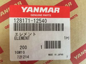 1GM10 Hava filtresi 128171-12540